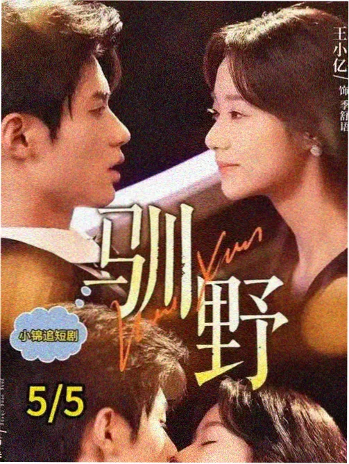 韩剧 无声的证词 海报